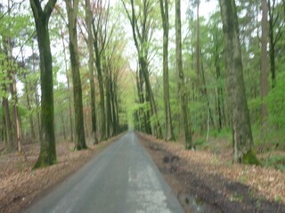 Casale Beernem Ambiente 34