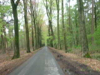 Cottage Beernem Environment 36