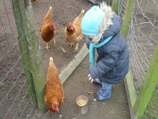 Vakantiehuis Ursel Buitenaudio-opname 3