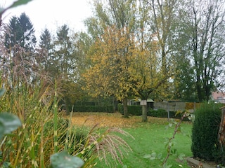 Holiday house Ursel Outdoor Recording 10