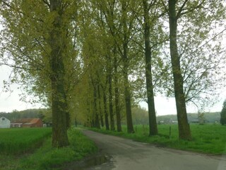 Vakantiehuis Ursel Omgeving 34