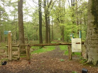 Vakantiehuis Ursel Omgeving 26