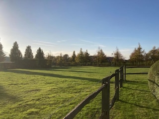 Ferienhaus Ursel Umgebung 35