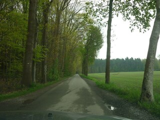 Vakantiehuis Ursel Omgeving 33