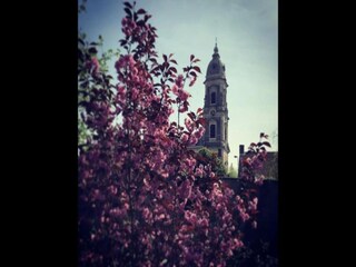 Ferienhaus Ursel Umgebung 28