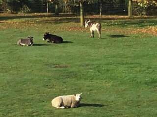 Casa de vacaciones Ursel Entorno 35