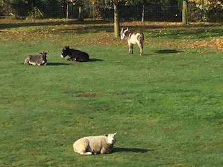 Holiday house Ursel Environment 31