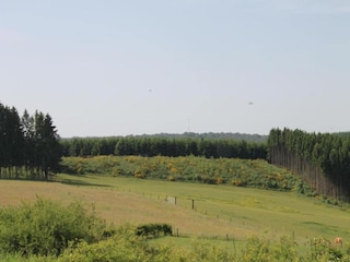 Holiday house Ursel Environment 33