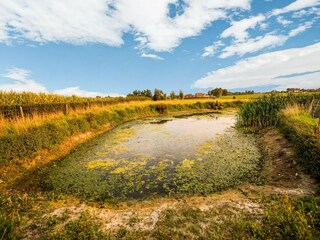 Holiday house Ieper Environment 35