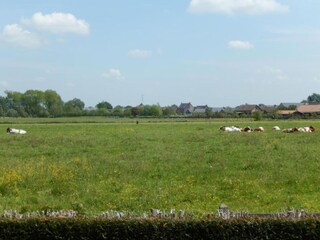 Vakantiehuis Zele Omgeving 26