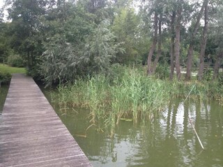 Maison de vacances Zele Environnement 23