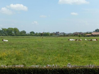 Vakantiehuis Zele Omgeving 24