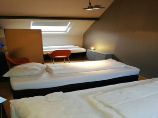 Villa Zottegem Features 21