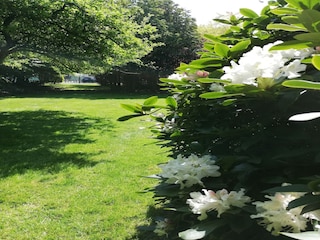 Villa Zottegem Außenaufnahme 8