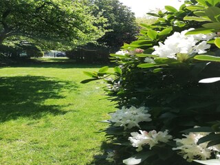 Villa Zottegem Outdoor Recording 6