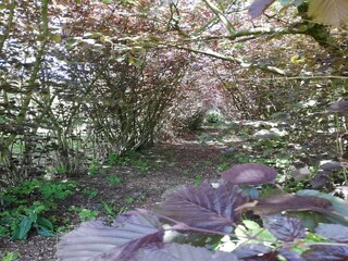 Villa Zottegem Buitenaudio-opname 3