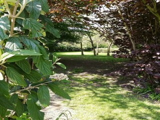 Villa Zottegem Buitenaudio-opname 10