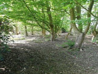 Villa Zottegem Außenaufnahme 9