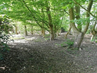 Villa Zottegem Registrazione all'aperto 8