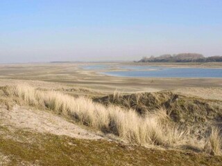 Vakantiehuis Oudenaarde Omgeving 31