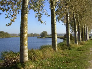Cottage Sint Kruis Environment 28