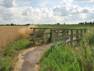 Cottage Sint Kruis Environment 30