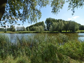 Cottage Sint Kruis Environment 33