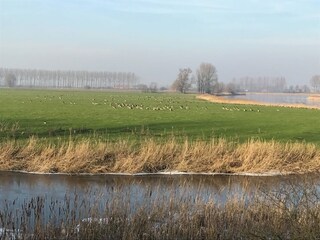 Cottage Sint Kruis Environment 34