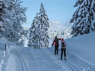 Apartment La Tzoumaz Environment 34