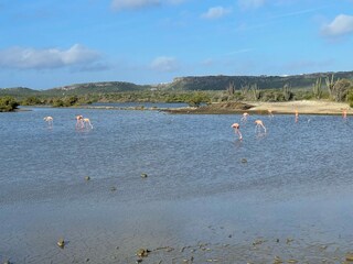 Villa Sint Willibrordus Environnement 26