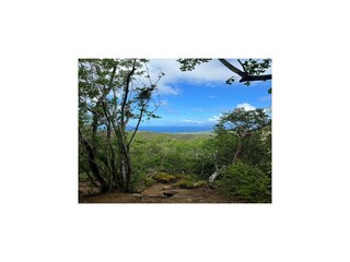 Villa Sint Willibrordus Environnement 36