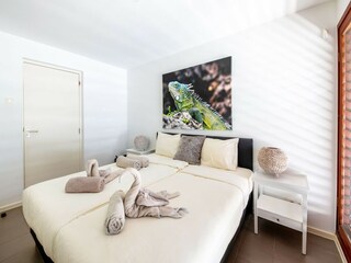 Villa Jan Thiel Caratteristiche 11