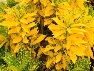 Villa Jan Thiel Environnement 22