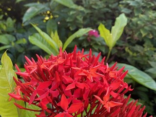 Villa Jan Thiel Omgeving 35