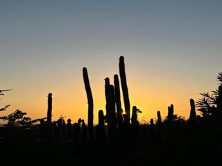 Villa Jan Thiel Environment 35