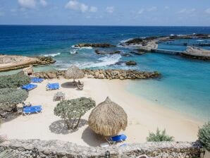 Sea-view apartment in Mambo Beach near seaaquarium - Jan Thiel - image1