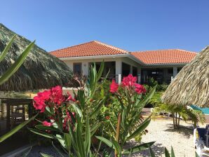 Wunderschöne Villa mit Swimmingpool in Jan Thiel - Jan Thiel - image1