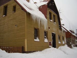 Holiday house Luxuriöses Ferienhaus in Abertamy nahe Skigebiet - Pernink - image1