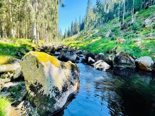 Ferienhaus Pernink Umgebung 24