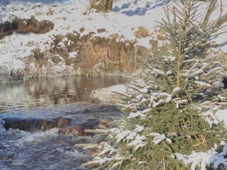 Vakantiehuis Pernink Omgeving 40