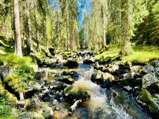 Holiday house Pernink Environment 26