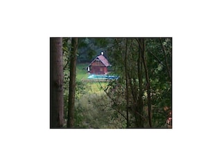 Ferienhaus Bechyně Außenaufnahme 6