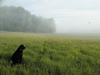Casa de vacaciones Bechyně Entorno 23