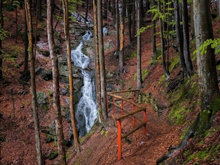 Ferienhaus Hrubá Skalá Umgebung 38