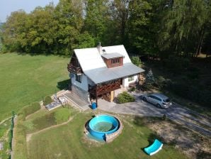 Holiday house House with the pool and fenced garden - Hrubá Skalá - image1