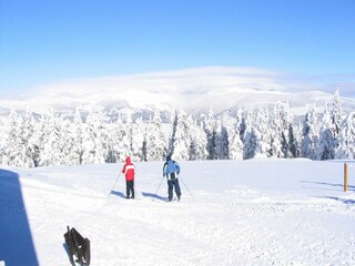 Casa de vacaciones Rtyne v Podkrkonosi Entorno 31