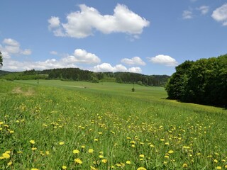 Ferienhaus Rtyne v Podkrkonosi Umgebung 33