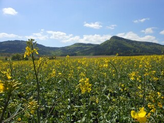 Vakantiehuis Bozanov Buitenaudio-opname 10