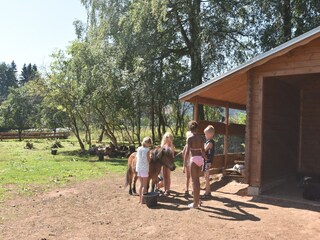 Vakantiehuis Bozanov  39