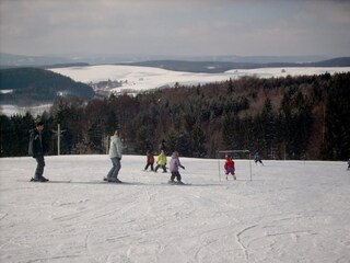 Ferienhaus Bozanov Umgebung 31